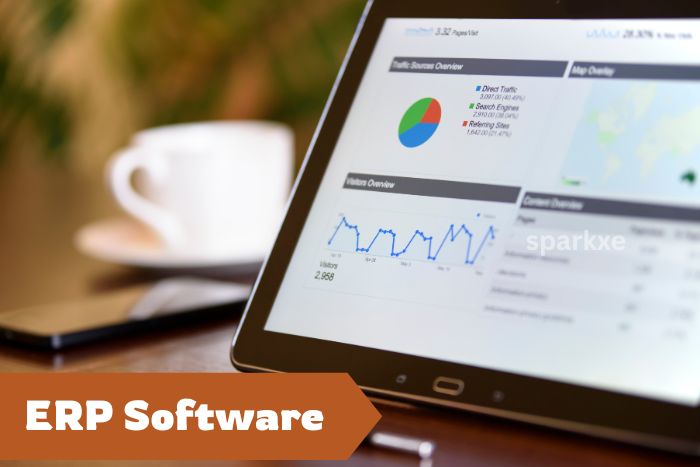ERP Sortware