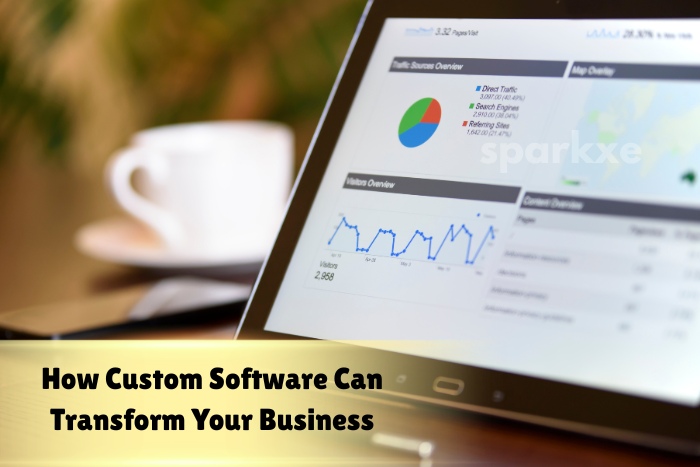 Innovative Custom Software Services